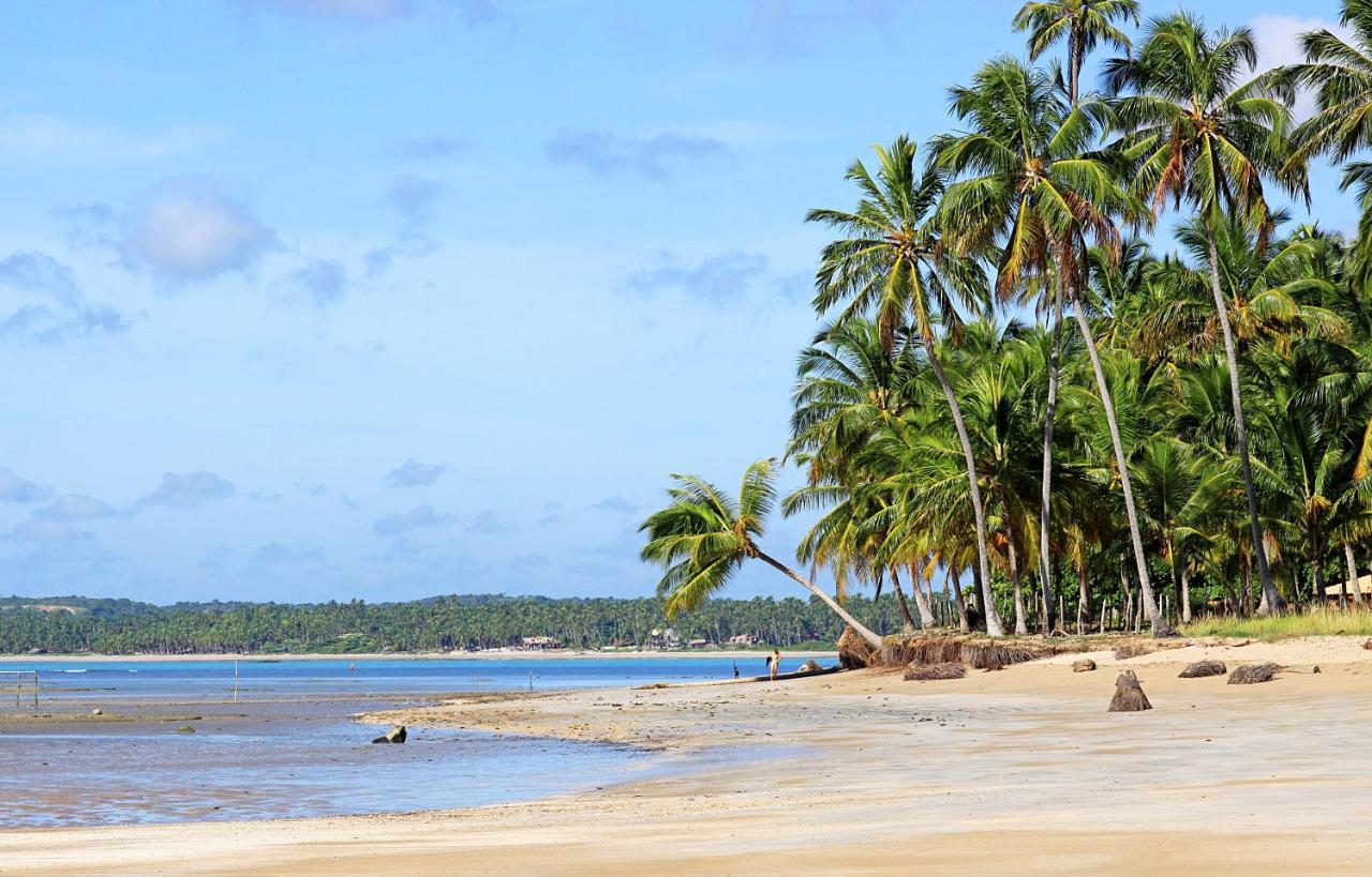 Eco Pousada Paraiso Dos Coqueirais Giulianova Ngoại thất bức ảnh