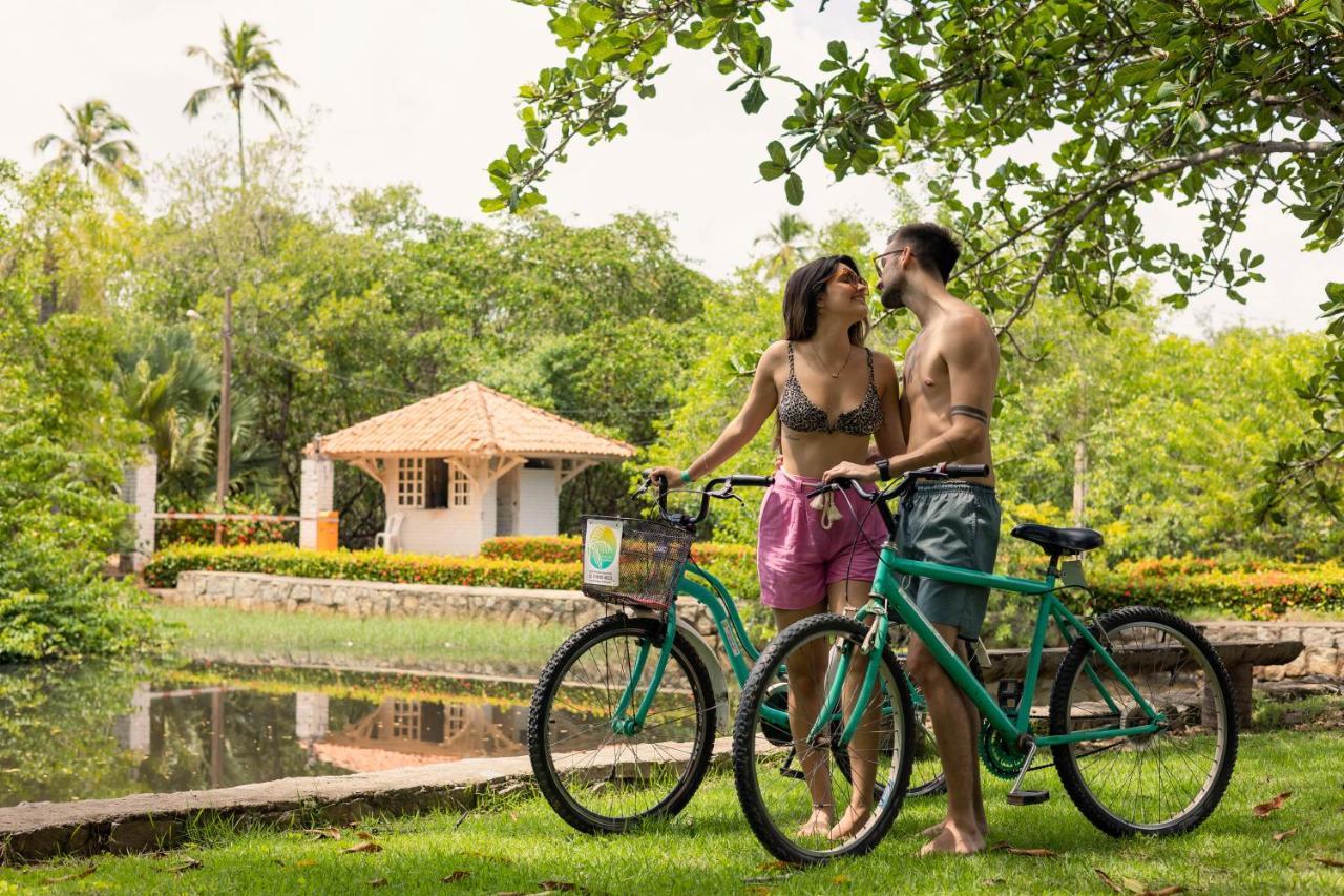 Eco Pousada Paraiso Dos Coqueirais Giulianova Ngoại thất bức ảnh