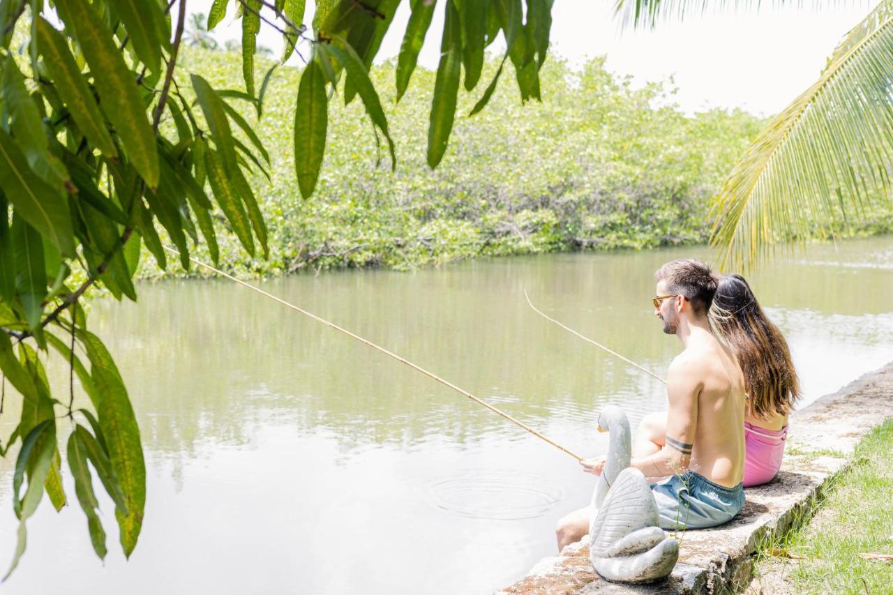 Eco Pousada Paraiso Dos Coqueirais Giulianova Ngoại thất bức ảnh