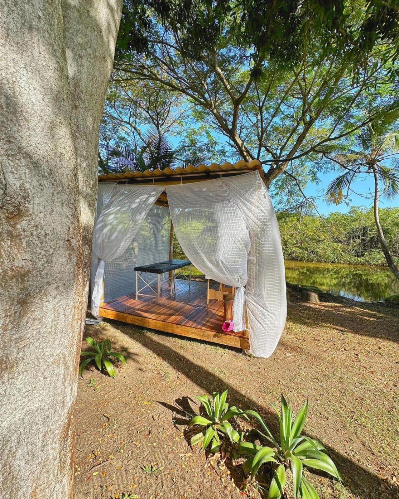 Eco Pousada Paraiso Dos Coqueirais Giulianova Ngoại thất bức ảnh