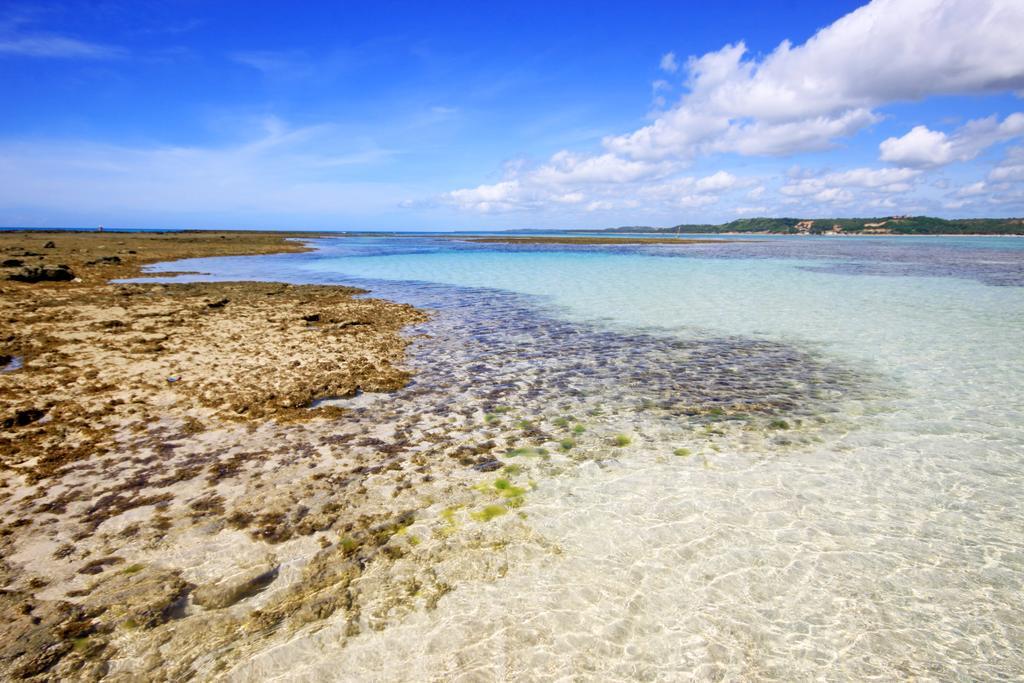 Eco Pousada Paraiso Dos Coqueirais Giulianova Ngoại thất bức ảnh