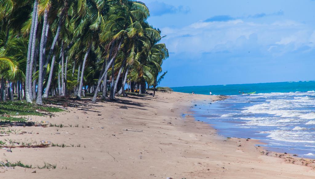 Eco Pousada Paraiso Dos Coqueirais Giulianova Ngoại thất bức ảnh