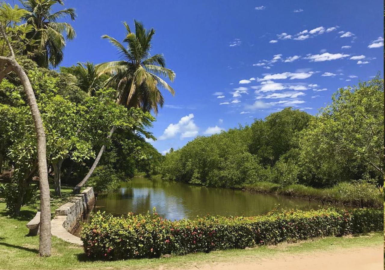 Eco Pousada Paraiso Dos Coqueirais Giulianova Ngoại thất bức ảnh