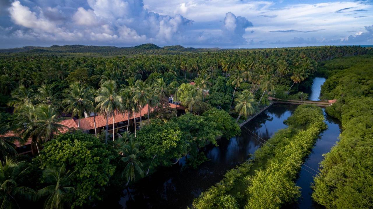 Eco Pousada Paraiso Dos Coqueirais Giulianova Ngoại thất bức ảnh