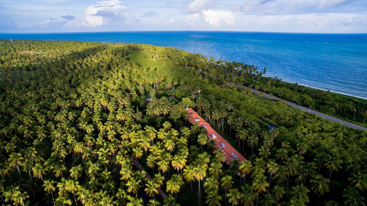 Eco Pousada Paraiso Dos Coqueirais Giulianova Ngoại thất bức ảnh