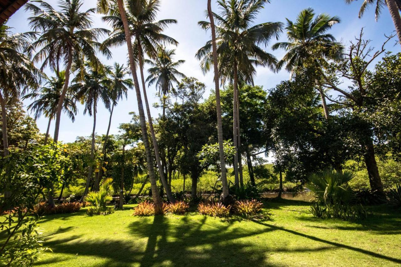 Eco Pousada Paraiso Dos Coqueirais Giulianova Ngoại thất bức ảnh
