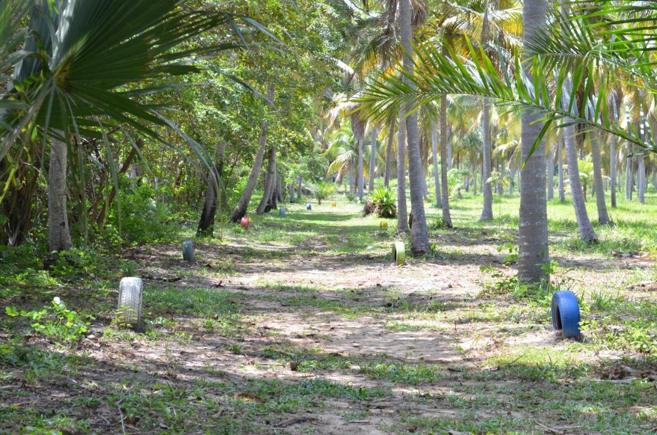 Eco Pousada Paraiso Dos Coqueirais Giulianova Ngoại thất bức ảnh