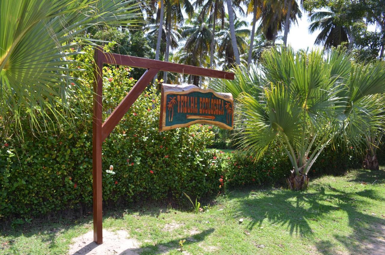 Eco Pousada Paraiso Dos Coqueirais Giulianova Ngoại thất bức ảnh